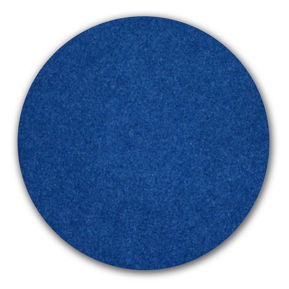 Orbiter Blue Scrub Pad
