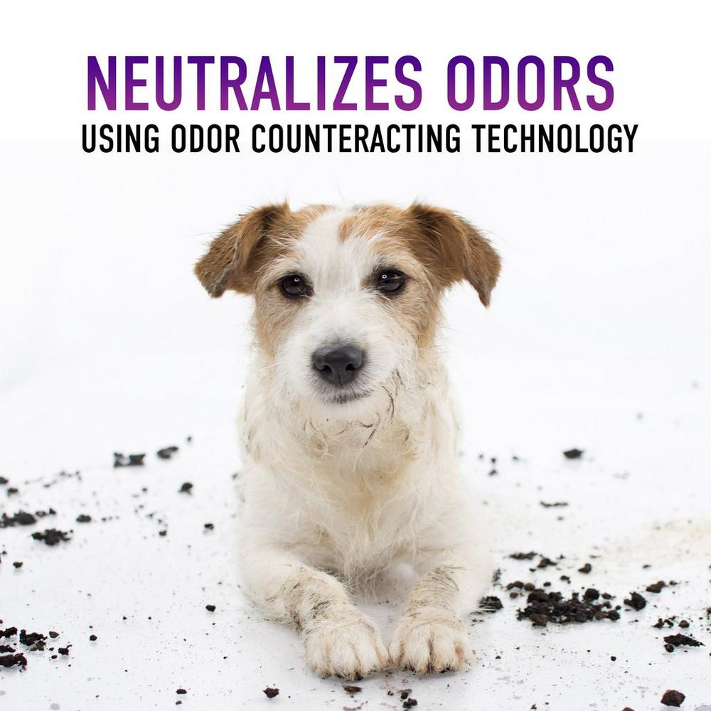 Paws & Claws Clean Packs