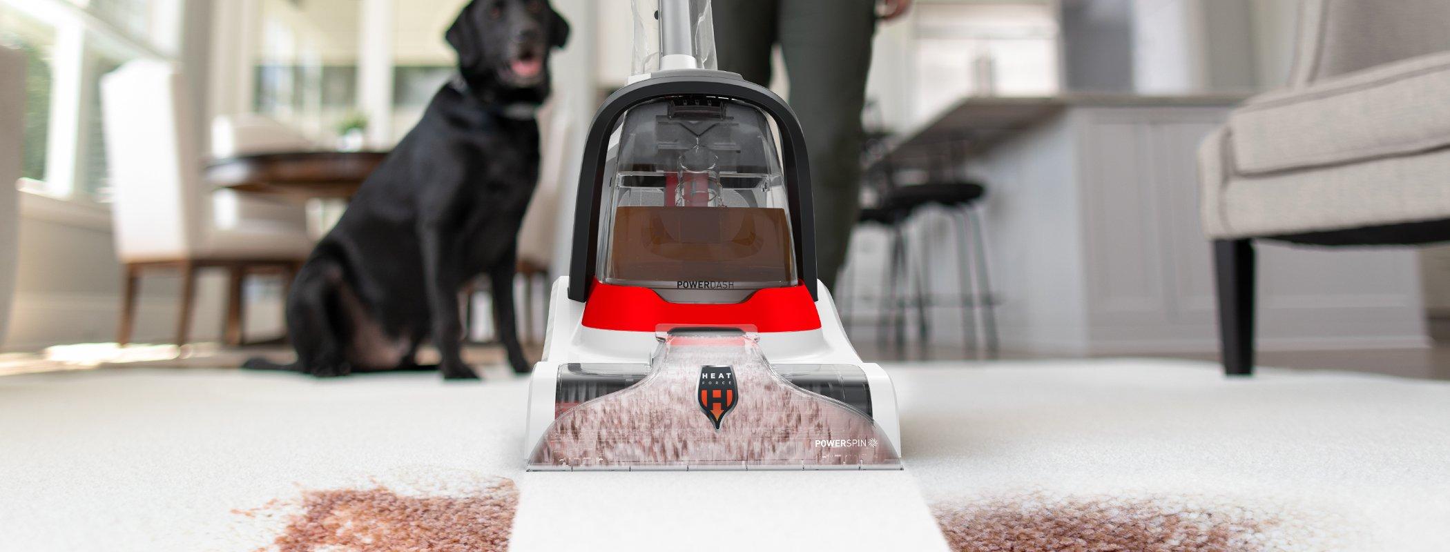 A Hoover carpet cleaner cleaning a spill on a white carpet, with a black dog standing nearby in a well-lit room.