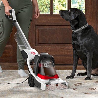 Person using a Hoover carpet cleaner showcasing powerful scrubbing and suction, with a black dog nearby, emphasizing its effectiveness in a pet-friendly home.