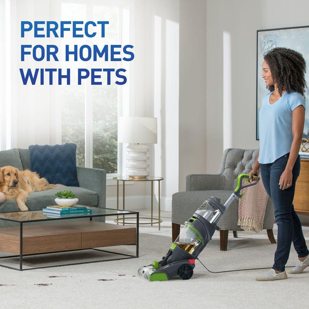 A woman using a carpet cleaner in a living room with a golden retriever lying on the couch, showcasing a well-decorated space with large windows and a coffee table.