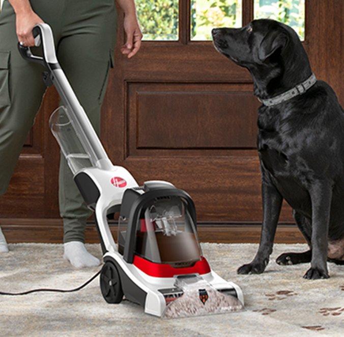 Person using a Hoover carpet cleaner in a pet-friendly home, with a black dog observing, highlighting the cleaner's effectiveness and design for pet owners.