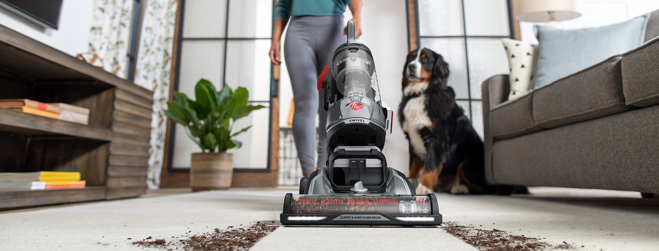 Close up of the High performance swivel xl in action vacuuming dirt and debris from a white carpet while a dog watches in the background