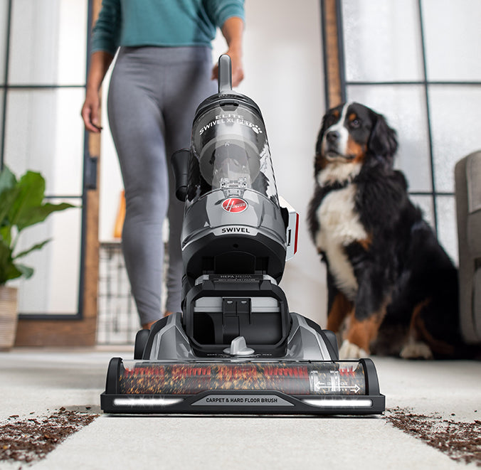 Close up of the High performance swivel xl in action vacuuming dirt and debris from a white carpet while a dog watches in the background