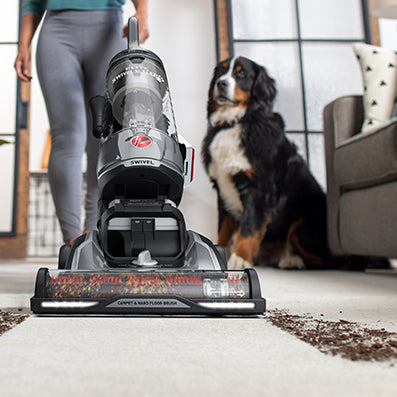 Close up of the High performance swivel xl in action vacuuming dirt and debris from a white carpet while a dog watches in the background