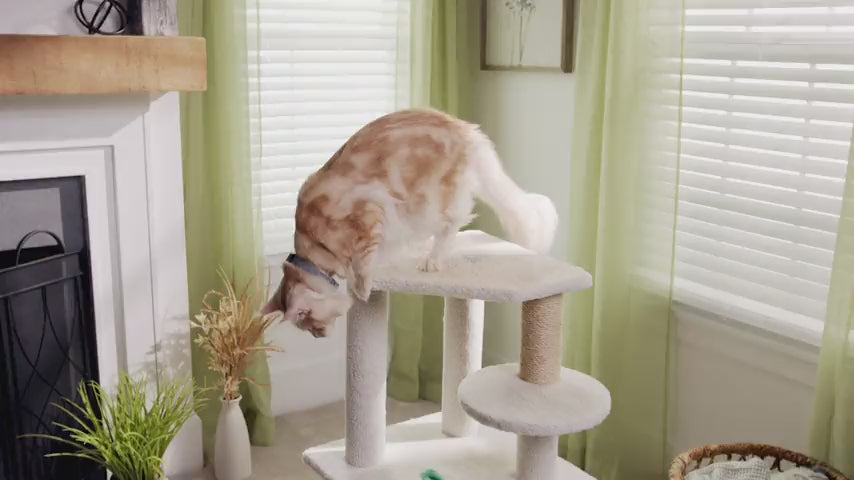 Load video: