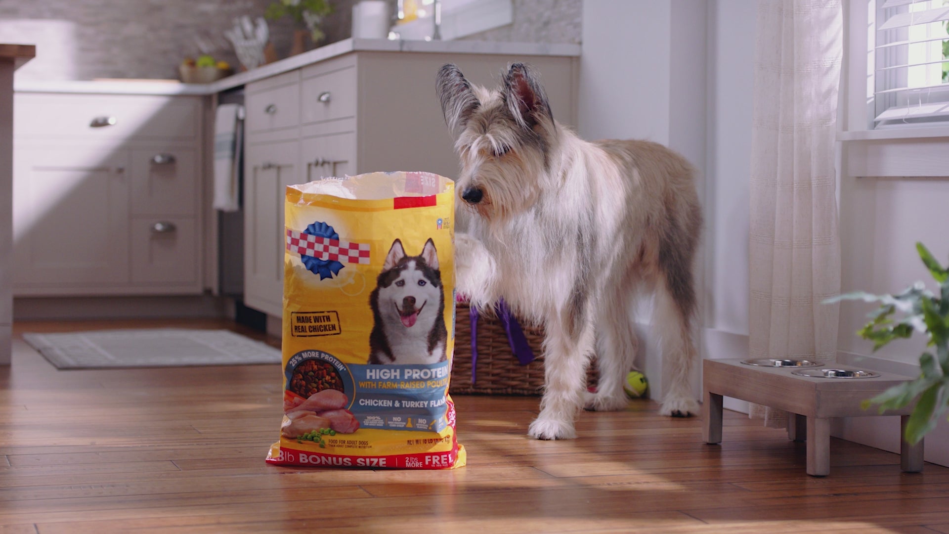 Load video: Dog spilling a bag of dog food all over the hard wood floors and its mom using her emerge pet vacuum cleaner to quickly clean his mess.