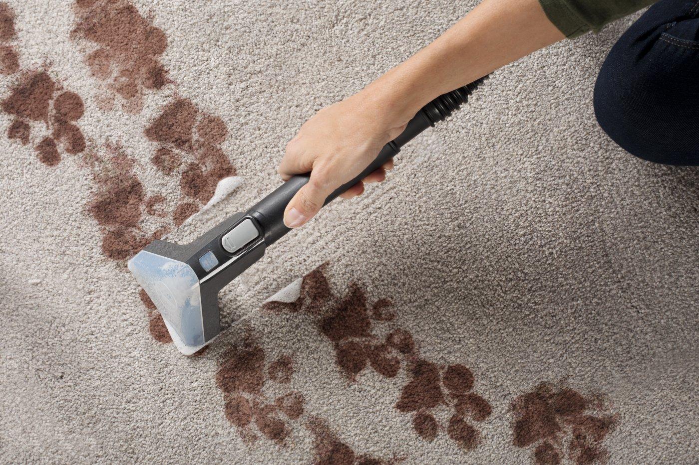 Power Scrub Elite Pet Carpet Cleaner