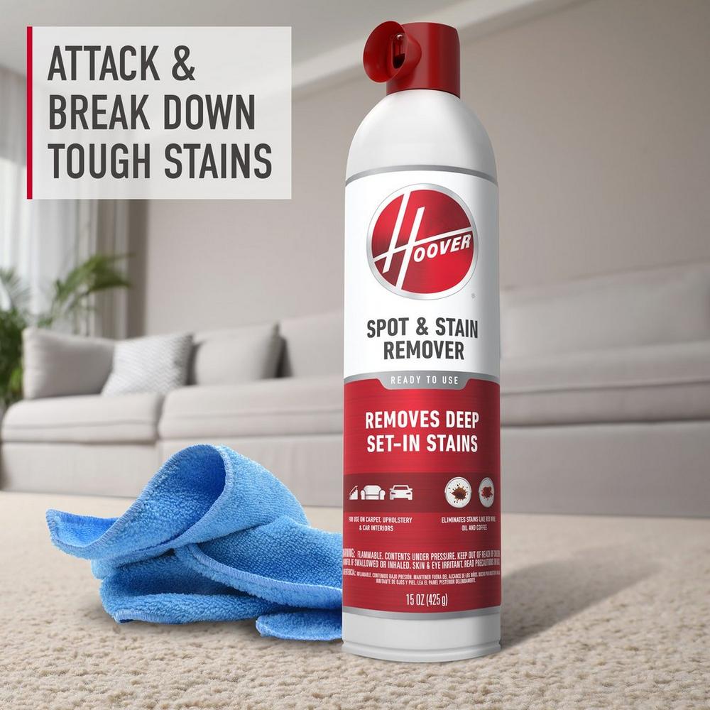 Aerosol Stain Remover Bundle (2-Pack)