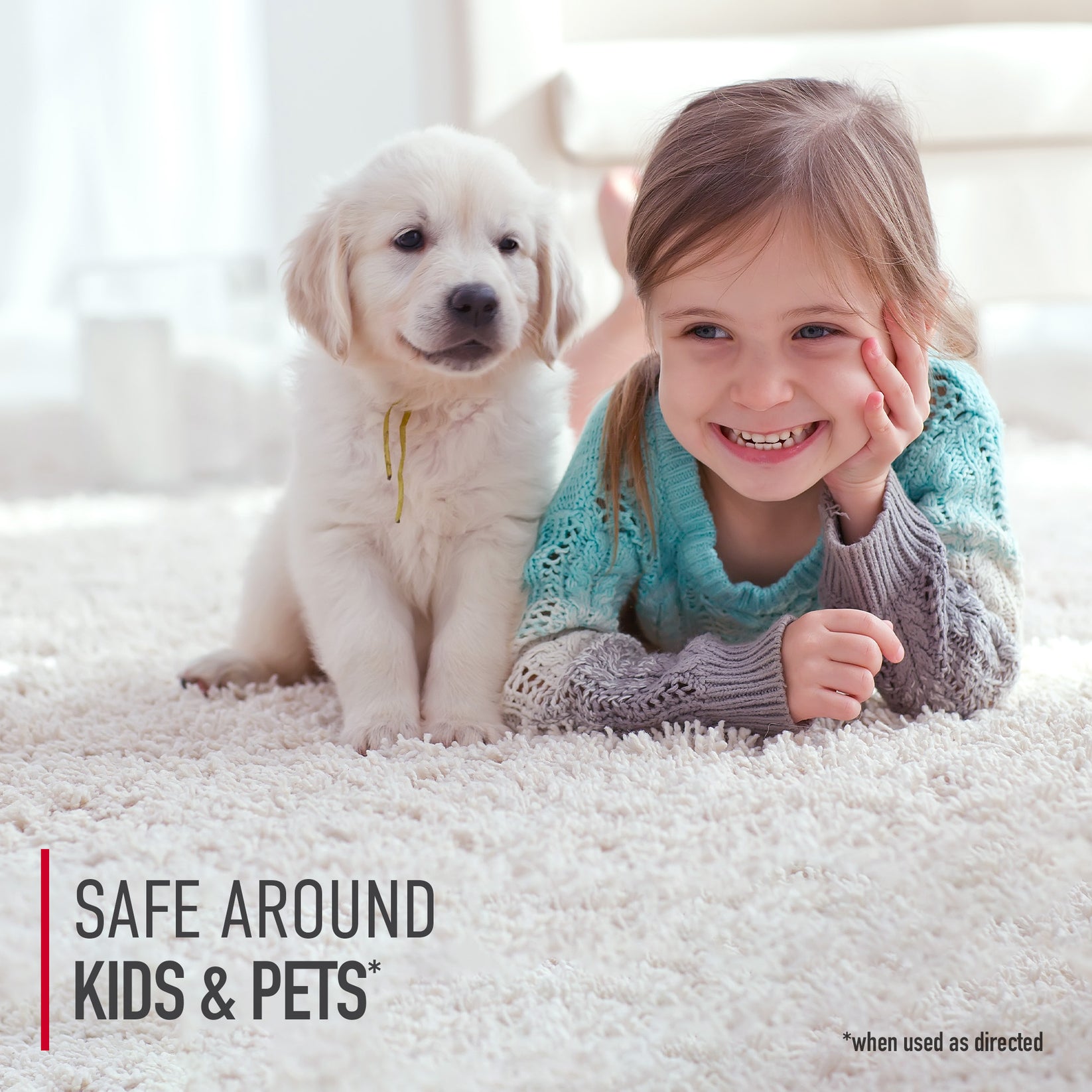 Pure Essentials PreTreat Solution (2pack) Hoover