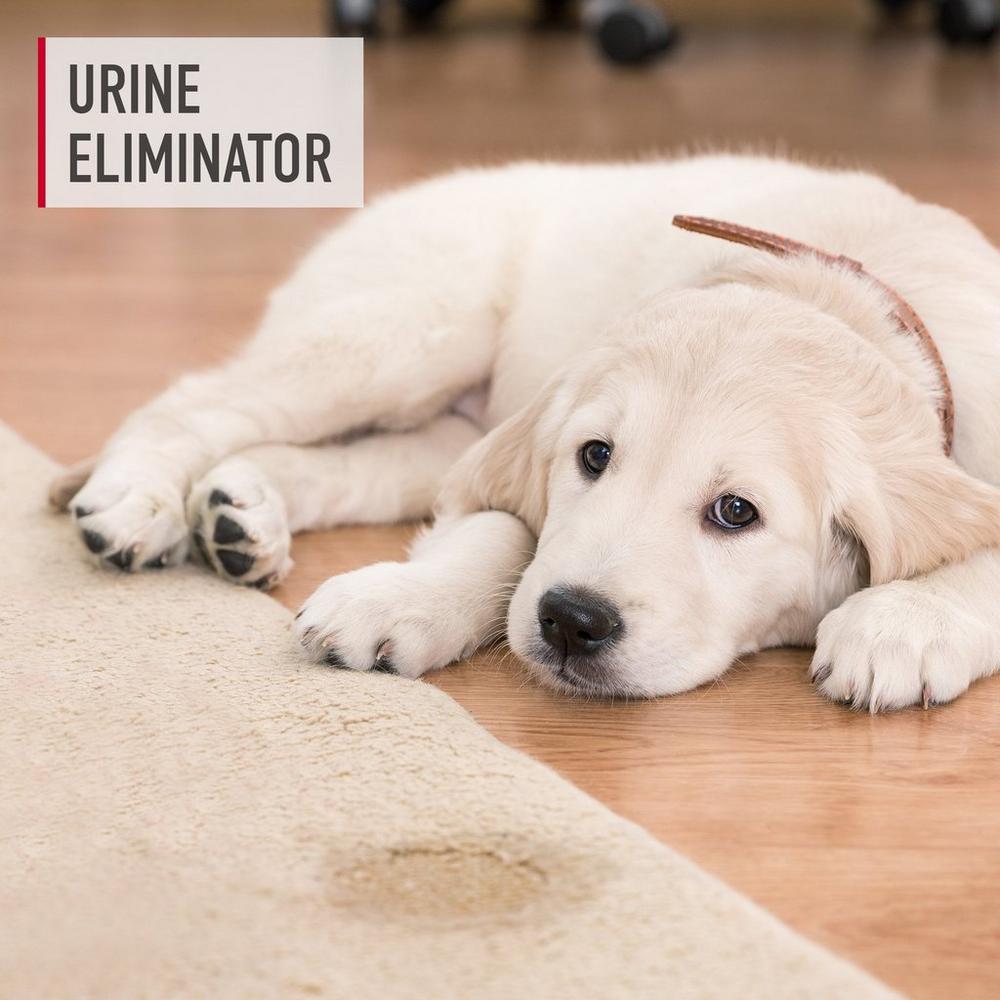 Pet urine outlet eliminator