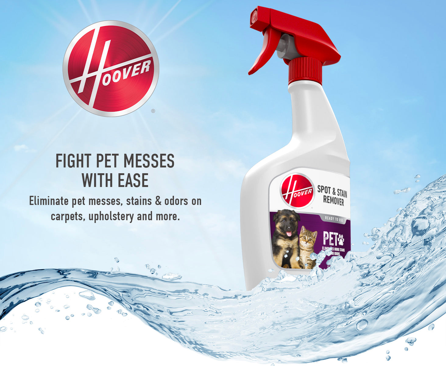 Hoover pet stain and hotsell odor remover