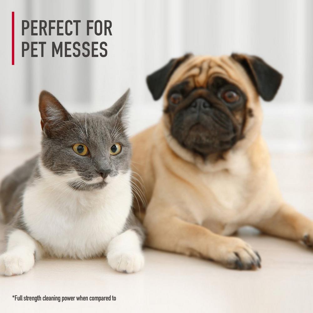 Hoover Enzymatic Pet Spot Cleaner Solution 64 oz
