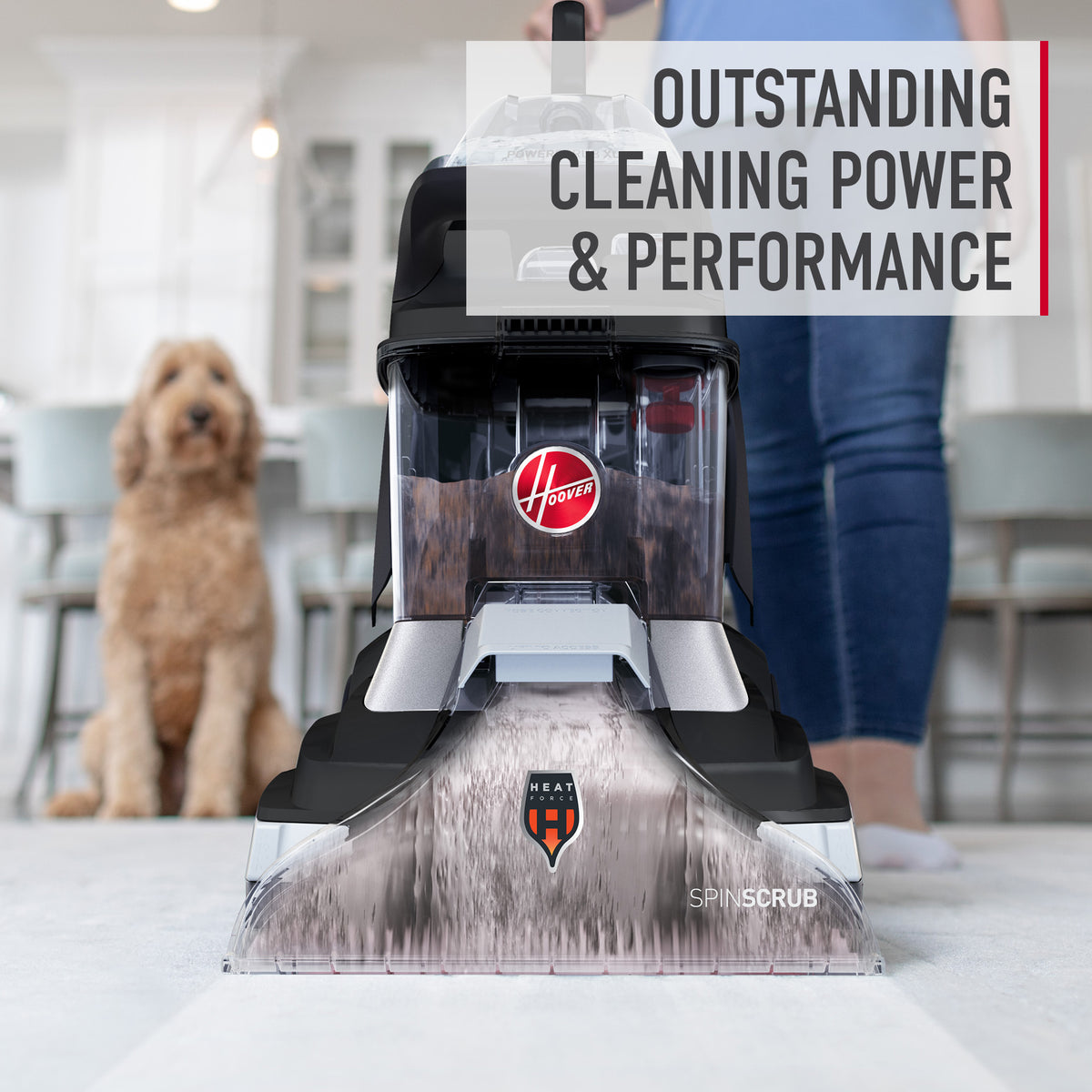 Hoover Enzymatic Pet Carpet Cleaner Solution 128oz