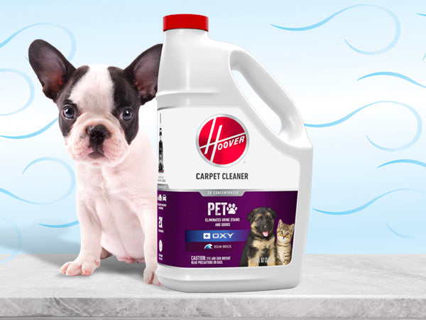 hoover oxy pet urine eliminator