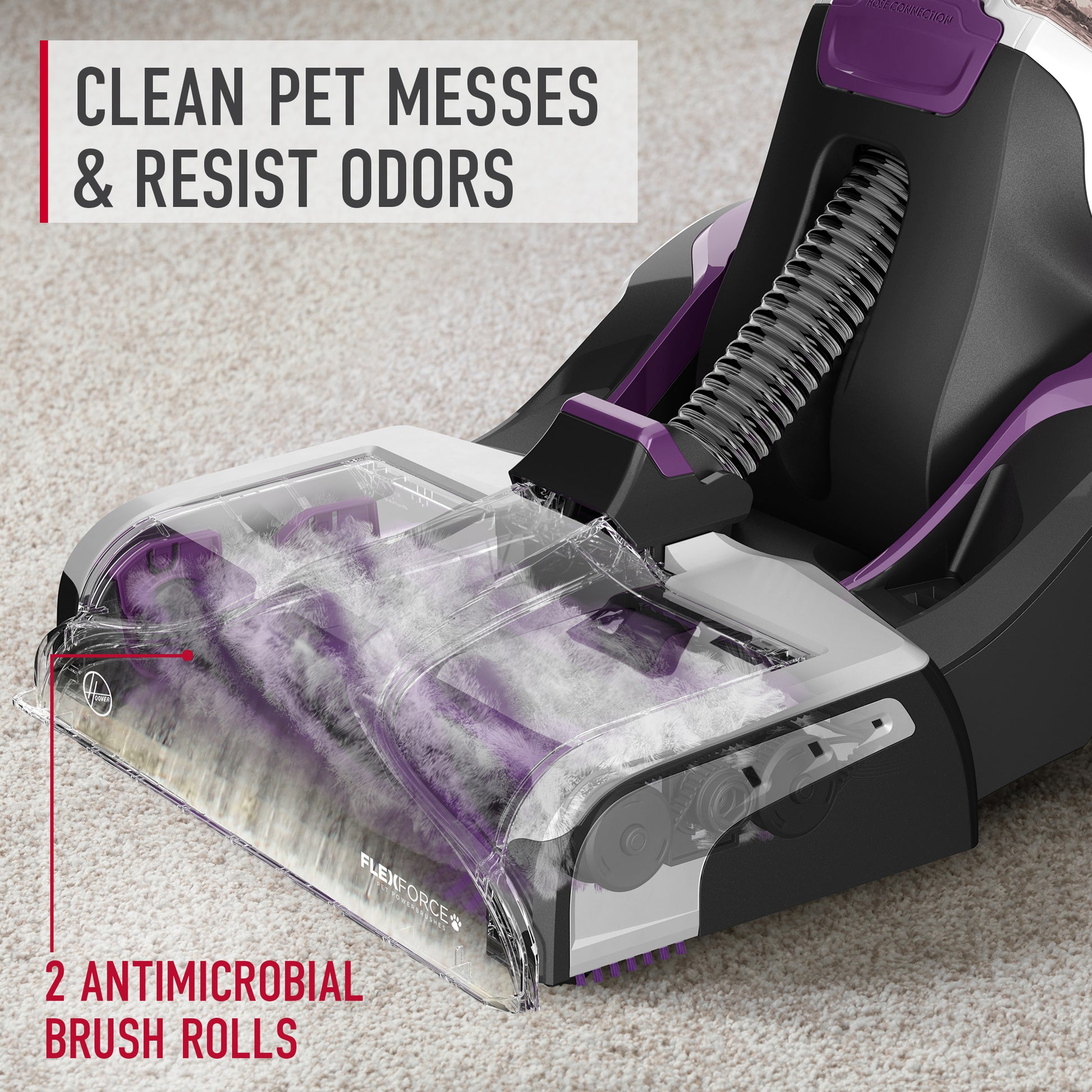 Close up of Smartwash pet complete automatic carpet cleaner showing 2 antimicrobial brush rolls to effectively clean pet messes and resist odors