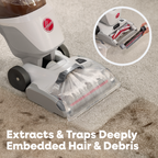 Hoover AllOut Lux Pet Carpet Cleaner