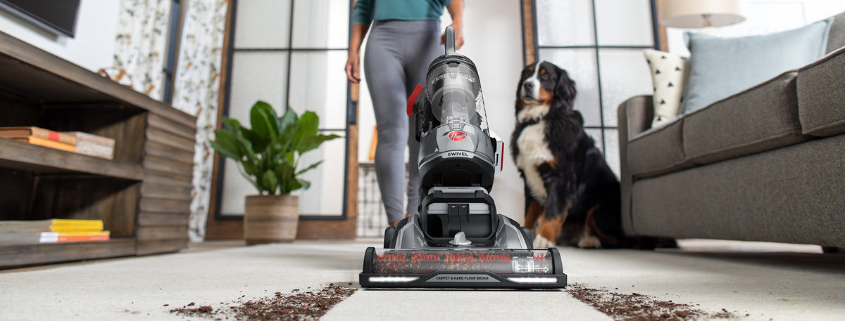 Close up of the High performance swivel xl in action vacuuming dirt and debris from a white carpet while a dog watches in the background
