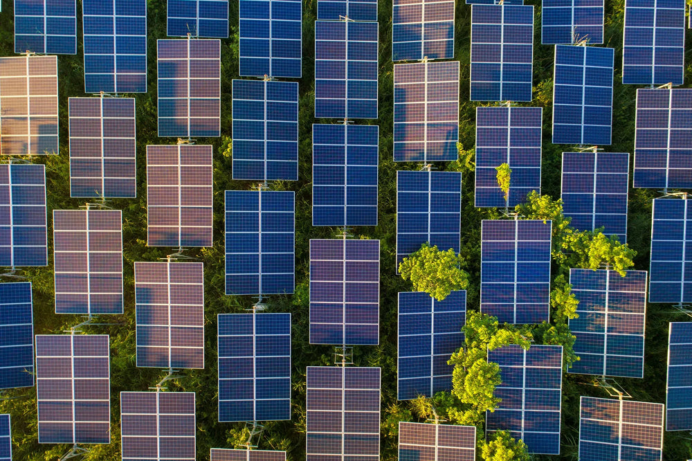 Multiple solar panels in front of lush green trees 