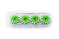 Wood Floor SpinScrub Brush for FloorMate Deluxe