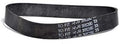 WBD AGITATOR BELT, U5140900