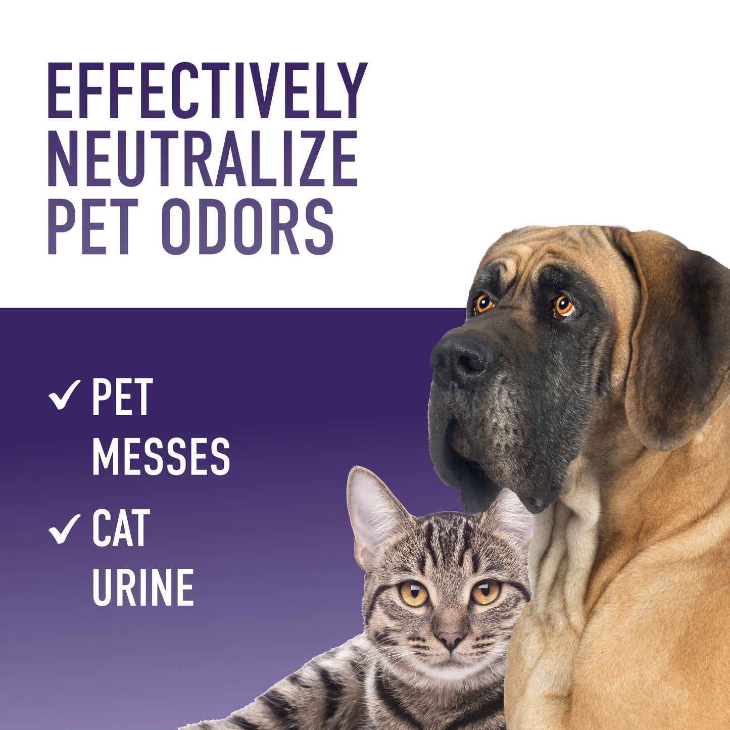 Clean Complements Pet Odor Eliminator