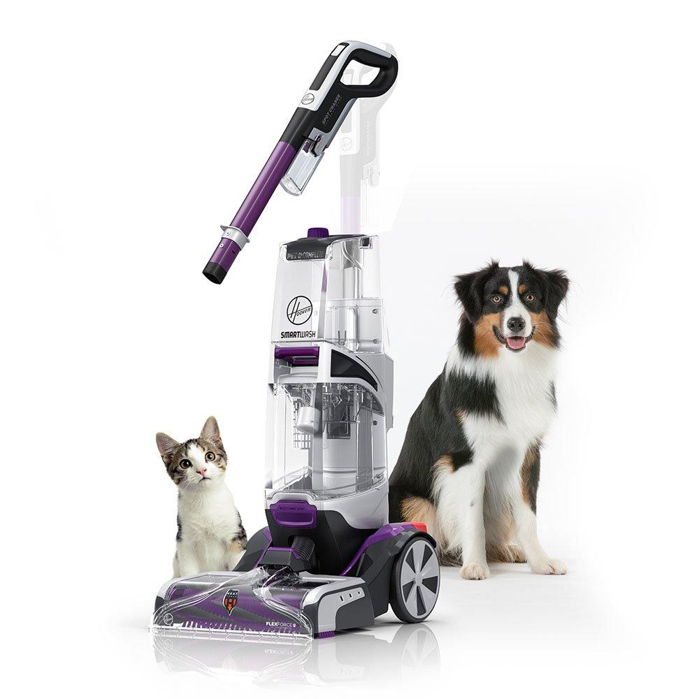 Automatic carpet cleaner with pets beside it